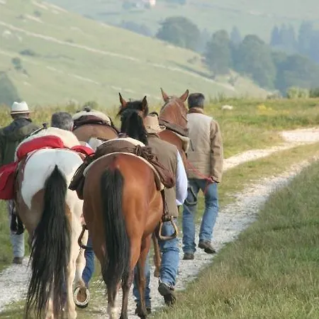 Campeggio Branchetto Bosco Chiesanuova