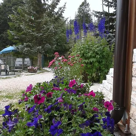 Camping Branchetto